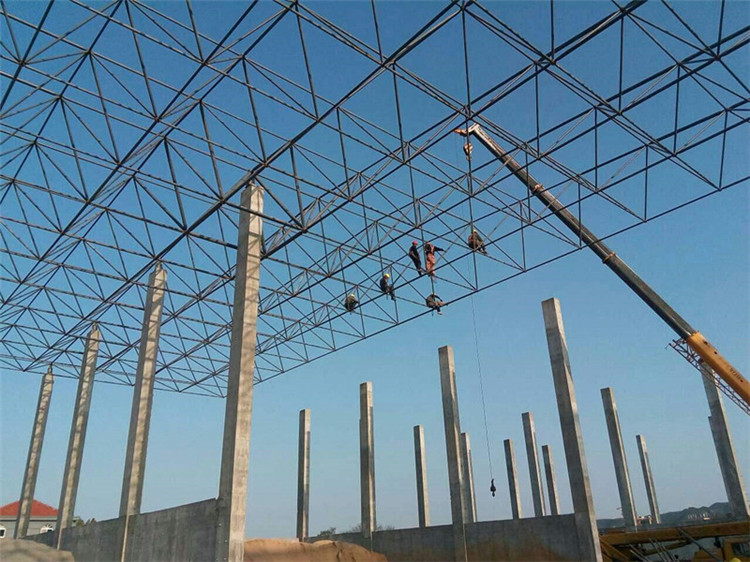 鄂州加气站钢结构网架案例10